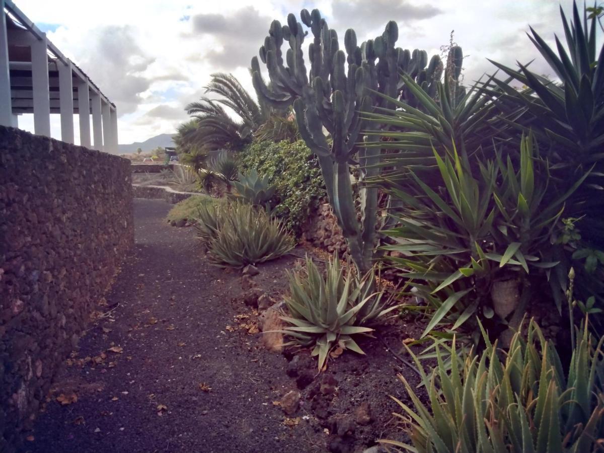 Surfwhitehouse Villa Lajares Buitenkant foto